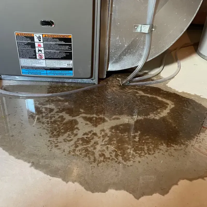 Appliance Leak Cleanup in Frankfort, IL